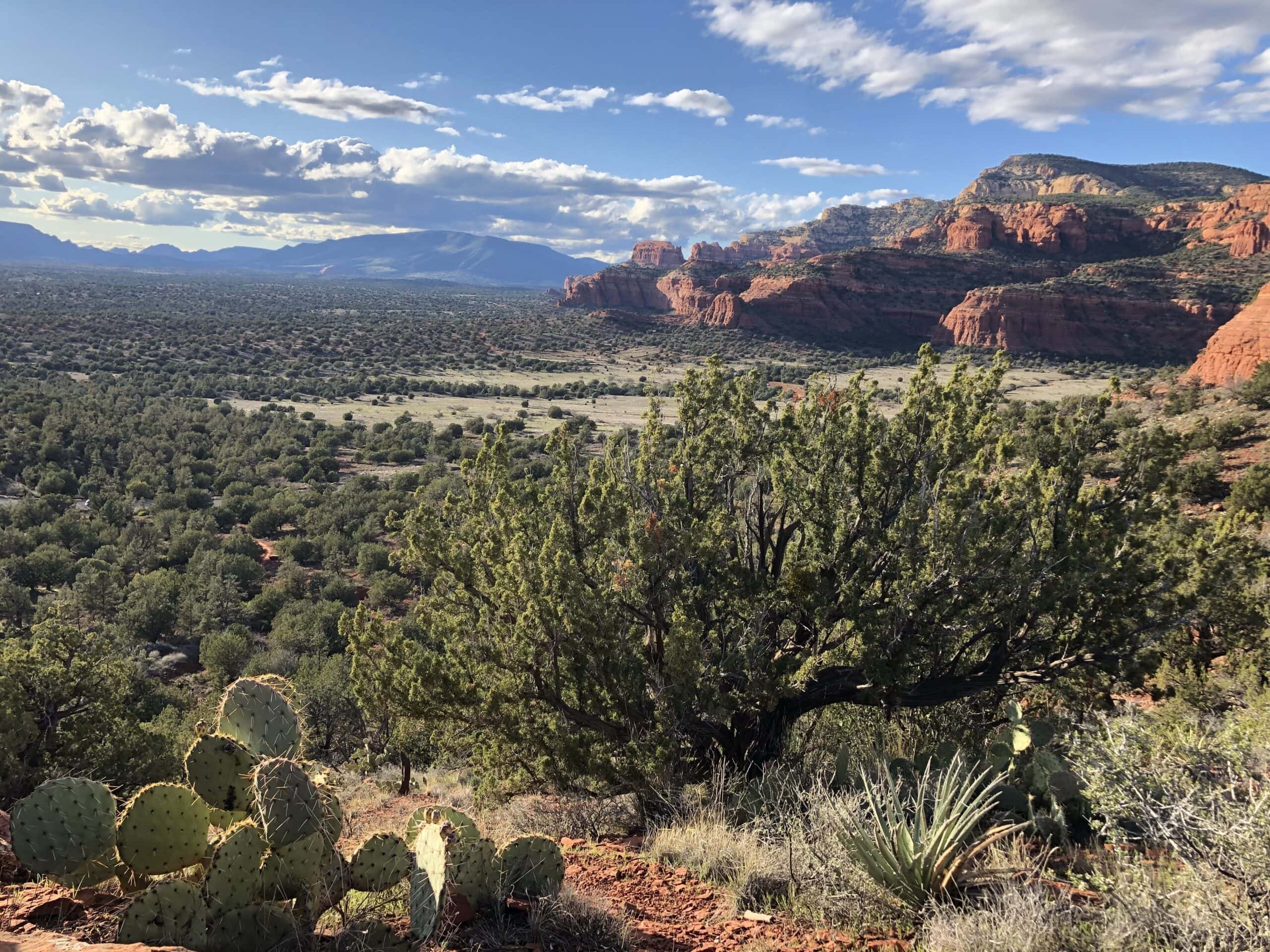 shots of sedona by dana cavanaugh