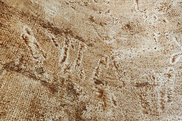 A close-up of Sedona earth dirt paint texture by artist Jooj, highlighting biophilic design and the organic materials used by Sedona Interior Designer Dana Cavanaugh.